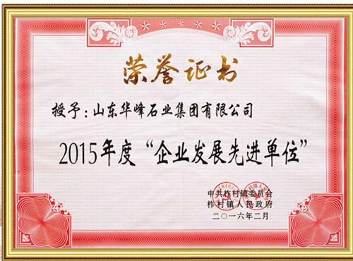 2015年度企业发展先进单位