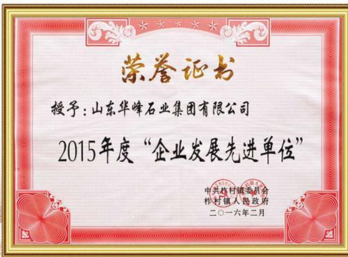 2015年度企业发展先进单位.jpg